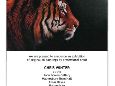 Chris Winter Art at the John Bowen Gallery, Malmesbury Town Hall